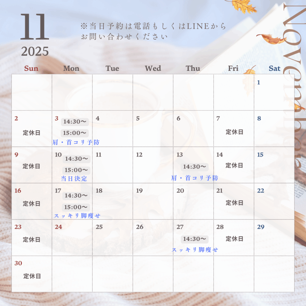 画像に alt 属性が指定されていません。ファイル名: %E3%83%AC%E3%83%83%E3%82%B9%E3%83%B3%E3%82%AB%E3%83%AC%E3%83%B3%E3%83%80%E3%83%BC-1-1024x1024.png